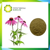echinacea extract 