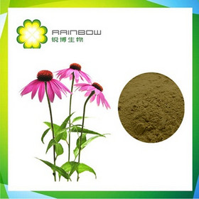 echinacea extract 