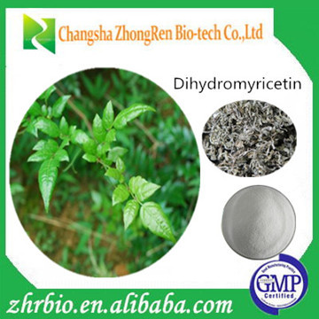 Competitive Price Vine Tea Extract 50%-98% Dihydromyricetin Powder