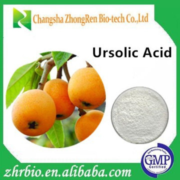 GMP Factory Supply Loquat Leaf Extract 25% 80% 90% 98%Ursolic acid Powder