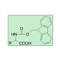 Fmoc-Lys-OH.HCl  