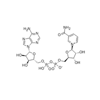 CAS 53-84-9, Beta-Diphosphopyridine Nucleotide