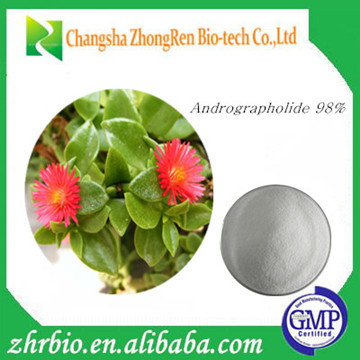 Professional Manufacturer Andrographolide 98% Andrographis Paniculata Extract