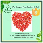 Gold supplier lycopene powder