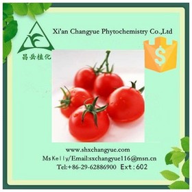 Top quality lycopene powder