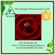 Hot sales lycopene powder