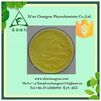 Gold Supplier Aloin Powder