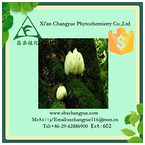 Pure natural hericium erinaceus p.e.