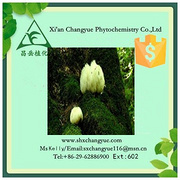 Pure natural hericium erinaceus p.e.