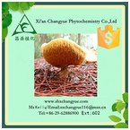 Gold supplier hericium erinaceus p.e.