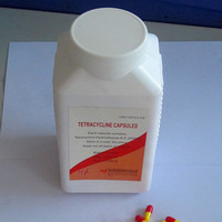 Tetracycline capsule