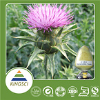 Milk Thistle P.E./extract