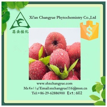 Gold supplier Chinese hawthorn fruit extract