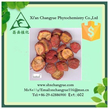 Hot selling  Chinese hawthorn fruit extract