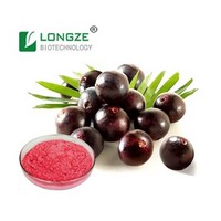 Brazilian Acai berry Extract Powder