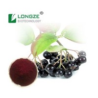 Black Aronia Chokeberry Extract
