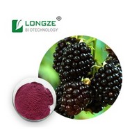 Blackberry Extract  powder