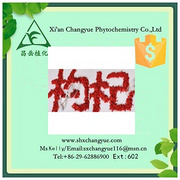 Gold supplier Chinese wolfberry fruit powder