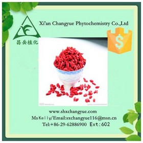 Hot selling wolfberry powder