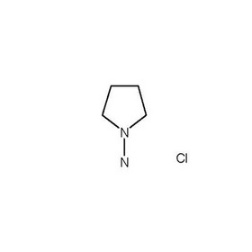 1-AMINOPYRROLIDINE  HYDROCHLORIDE