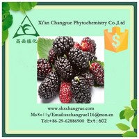 Pure Natural Mulberry Fruit Powder