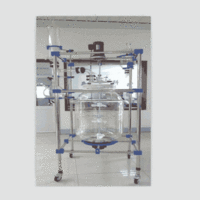  150L Series Glass Reactor -1
