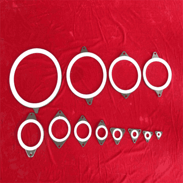 PTFE Gasket