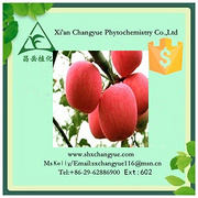 Top quality apple fruit powder