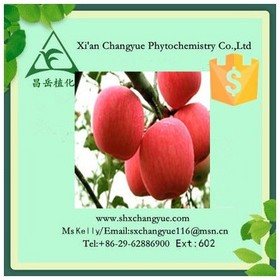 Top quality apple fruit powder