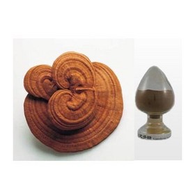 reishi extract;Ganoderma lucidum extract