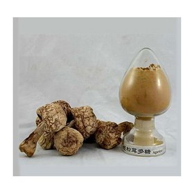 Agaricus blazei mushroom powder