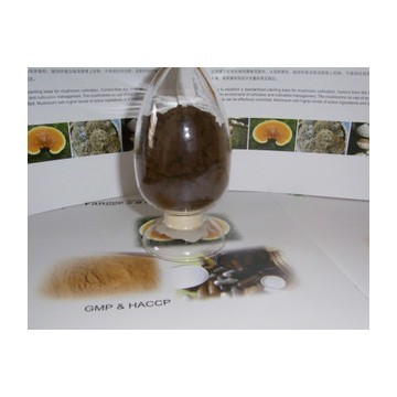 chaga mushroom extract;phaeoporus obliquus extract