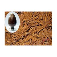 Cordyceps sinensis mycelium extract