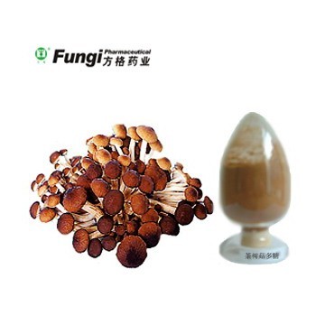 Agaricus blazei mushroom extract