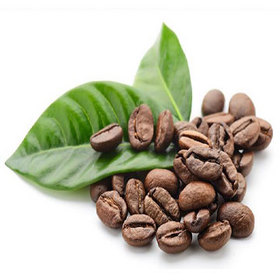 Green Coffee Bean Extract