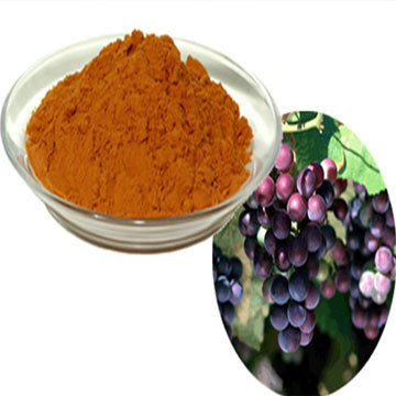 Grape Seed Extract