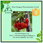 Gold supplier cherry fruit powder