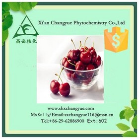 Top quality cherry fruit powder