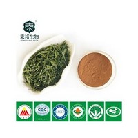 green tea extract 98% EGCG50%
