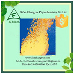 Pure Natural Seabuckthorn Fruit Powder