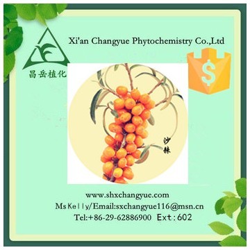 Top quality sea-buckthorn powder