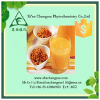 Hot selling sea-buckthorn juice powder