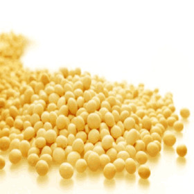 Soybean Isoflavones