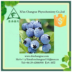 Gold supplier blueberry fruit powder