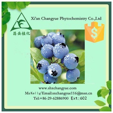 Gold supplier blueberry fruit powder