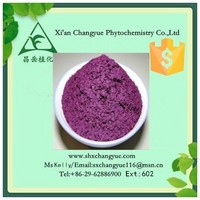 Hot selling blueberry powder