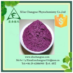 Hot selling blueberry powder