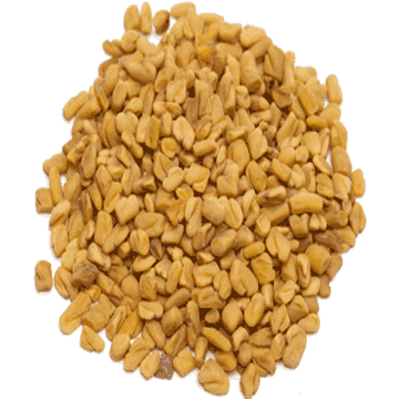 Fenugreek Extract