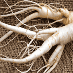 Panax Ginseng Extract