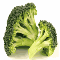  Broccoli Powder